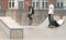 Young people skatebording in summer in Denmark