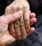 A young person tenderly holds the hand of the elderly