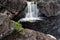 Young pine in the front of the waterfall, sweden