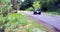 Young pine needles on the background of the forest road and the car that drives off.