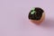 Young plant grow in egg shell. Easter decoration. Green plant in egg-shell on the pink background.