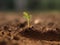 Young plant growing on brown soil