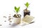 Young plant growing in glasses jars of coins account passbook, saving money, investment and financial