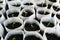 Young Plant seedlings growing on fertile soil with fertilizer, baby plant Seedlings sprout. Tomato seedlings. seasons trend. Fresh