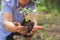 Young plant in wrinkled hands. Seedling in the hands of an elderly woman close-up. Ecology concept, recycling and copy space. Plan