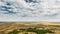 Young Planted Forest. Aerial View Of Forest Strips Landscape In Early Spring Day. Drone View. Bird's Eye View. Drone