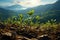 Young plants grow in a field against a backdrop of mountains