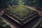 Young Plants Growing in Square Planting trays, Generative AI