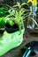 Young plants in pots, shovel, green gloves for pottering on brown wooden table. Close up hands potting plants.  Spring, nature