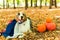 A young playful dog of an Australian shepherd in a Park in the autumn forest performs commands. dressed in the russian