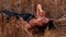 Young playful woman lying on the straw field