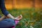 Young practitioners doing yoga exercises in park. Women meditate outdoor infront of beautiful autumn nature. Hands