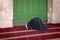 Young praying woman falling on knees against mosque Dome of the Rock in the Muslim quarter of the old city of Jerusalem