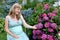The young pregnant woman admires the blossoming hydrangea in a garden