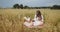 Young pregnant woman writing notes in a notebook during picnic in a wheat field