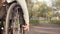 Young Pretty disabled woman in wheelchair walking in the park at evening time