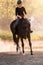 Young pretty girl riding a horse with backlit leaves behind