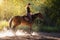 Young pretty girl - riding a horse with backlit leaves behind