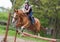 Young pretty girl riding a horse - jumping over hurdle with bac