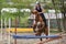 Young pretty girl riding a horse - jumping over hurdle with bac