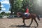 Young pretty jockey girl preparing horse for ride. love horses. girl riding a horse