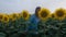 Young pretty woman in cinematic sunflower field