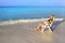 Young pretty woman tans in beach chair in ocean