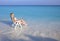 Young pretty woman tans in beach chair in sea