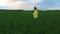 Young Pretty Woman In A Yellow Dress Goes On Green Field With Tall Grass