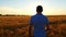 A young prospective farmer walks the wheat field in a slow motion against the sunset. The concept of harvesting