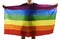 Young proud gay man spreading wide big pride homosexual flag with his shadow behind the cloth