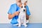 Young puppy at the veterinarian going to health checkup, professional examining dog using stethoscope