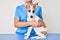 Young puppy at the veterinarian going to health checkup, professional examining dog using stethoscope