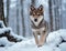 Young puppy Wolf in a snow covered winter forest