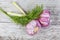 Young purple garlic heads and dill on old wooden surface