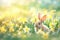A young rabbit nestled in a vibrant field of daffodils bathed in soft sunlight perfect for Easter-themed