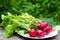 Young radishes and green onions