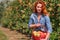 Young red-haired woman helps with picking apples