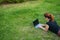 Young red-haired woman remotely works out lying on green grass. Freelancer girl prints on a laptop outdoors.