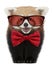 Young Red panda wearing glasses and a bow tie