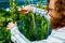 young redhaired ginger bearded man in apron cut bushes in the garden or plantation