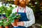 young redhaired ginger bearded man in apron working in the garden or plantation