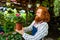 young redhaired ginger bearded man in apron working in the garden or plantation