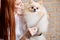 young redhead groomer combing wool of spitz in beauty salon for dogs