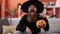 Young redhead man wearing wizard costume having halloween pumpkin basket at home