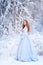 Young redhead woman, a princess, walks in a winter forest in a blue dress.
