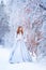 Young redhead woman, a princess, walks in a winter forest in a blue dress.