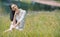 Young relaxing woman sitting in the grass