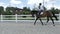 Young rider canter at the arena