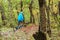 A young rider driving a mountain bike rides at speed downhill in the autumn forest.